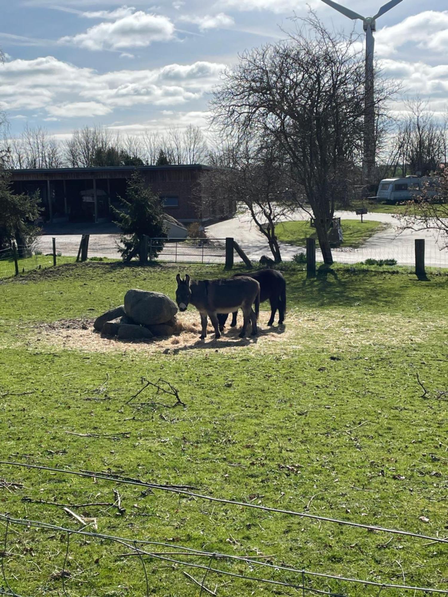 Beltblick Lejlighed Femern Eksteriør billede