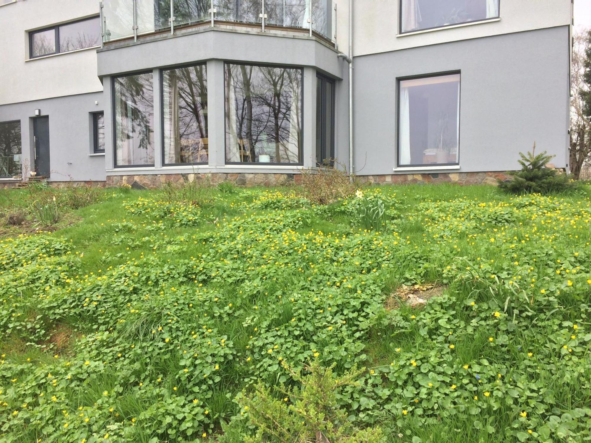 Beltblick Lejlighed Femern Eksteriør billede